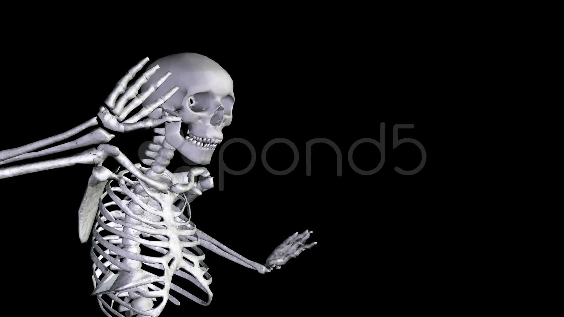 Spooky Scary Skeletons Zoom Background Collection Discount