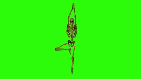 Skeleton doing yoga exercise , animation, green background, loop Stockbeeldmateriaal 146163158