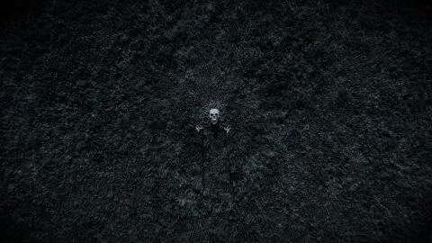 Skeleton From Earth Distant 写真素材