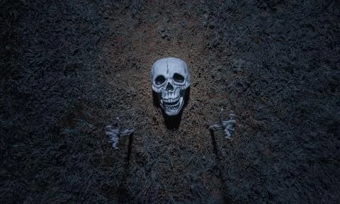 Skeleton From Earth Photos
