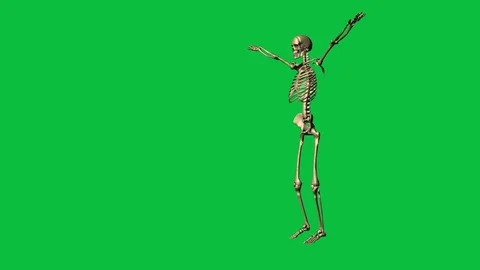 Skeleton exercise karate - separate on green screen Stock Footage 71341133