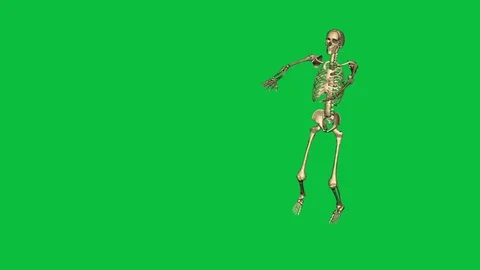 Skeleton exercise karate - separate on green screen Stock Footage 71341498