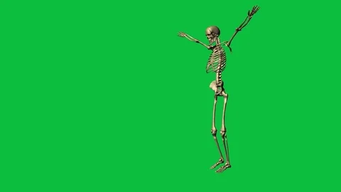 Skeleton exercise karate - separate on green screen Stock Footage 71341593