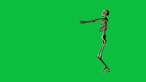 Skeleton exercise karate - separate on green screen Stock Footage 71341834