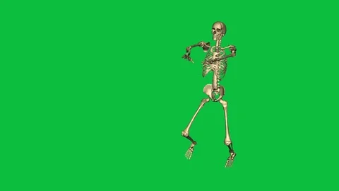 Skeleton exercise karate - separate on green screen Stock Footage 71341849