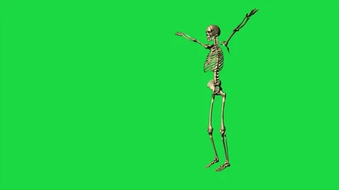 Skeleton Exercise Karate - Separate On Green Screen Stock Footage 128060685