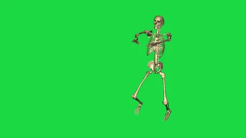 Skeleton Exercise Karate - Separate On Green Screen Stock Footage 128060691