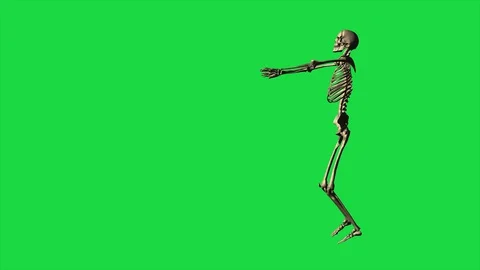 Skeleton Exercise Karate - Separate On Green Screen Stock Footage 128060801