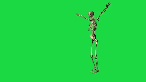 Skeleton Exercise Karate - Separate On Green Screen Stock Footage 128345449
