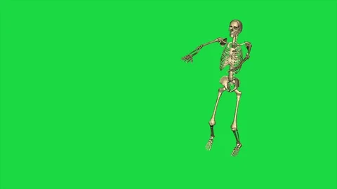 Skeleton Exercise Karate - Separate On Green Screen Stock Footage 128345519