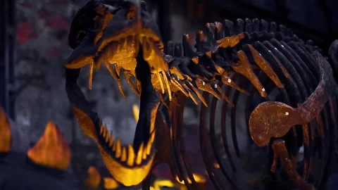Skeleton of an extinct giant predatory dinosaur with a sharp teeth Video stock 142649209