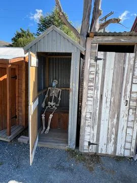 Skeleton with face mask waiting inside a wooden outhouse with the door open Stock Photos