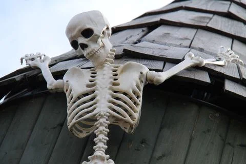 Skeleton Figure. Stock Photos