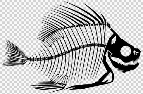 Skeleton Fish B Black Stock Illustration