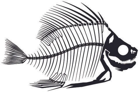 Skeleton Fish B Black Stock Illustration