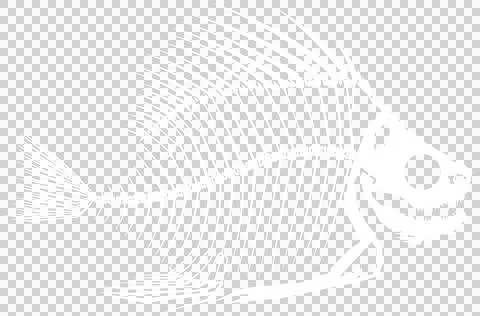 Skeleton Fish B White Stock Illustration