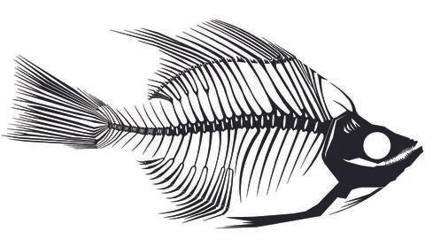 Skeleton Fish A Black Stock Illustration