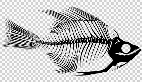Skeleton Fish A Black Stock Illustration