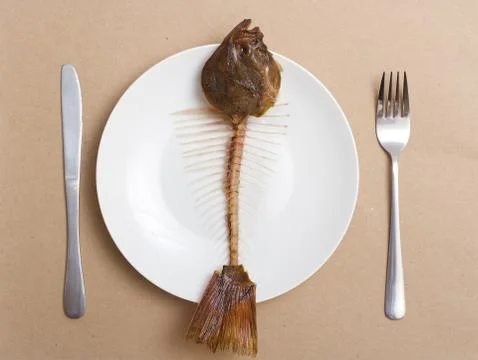 Skeleton of a fish on a plate Stock Photos
