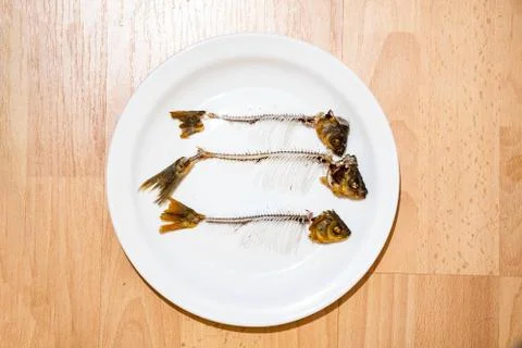 Skeleton of fish on a plate Stock-Fotos