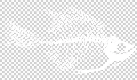 Skeleton Fish A White Stock Illustration