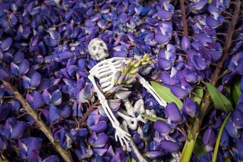 Skeleton flowers Stock Photos