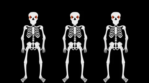 Skeleton Stock Footage 991776
