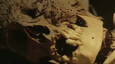 Skeleton Stock Footage