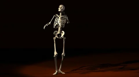 Skeleton Stock Footage 12483899