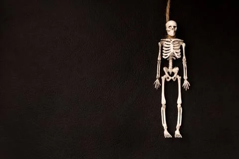 Skeleton in the form of a hanged man flat lay on a dark background with cop.. Stock Photos
