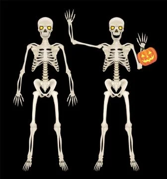 Skeleton full body on black background Stock Illustration