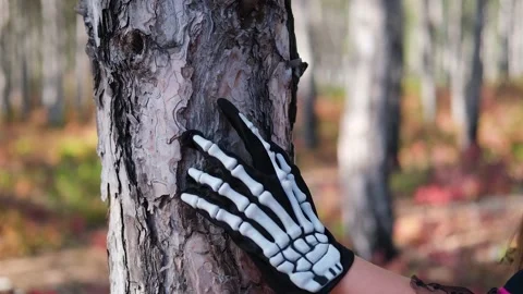 A skeleton-gloved hand moves slowly up a tree in the forest Stock Footage 217958520