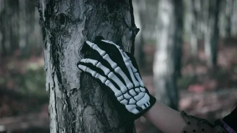 A skeleton-gloved hand moves slowly up a tree in the forest Stock Footage 233180249