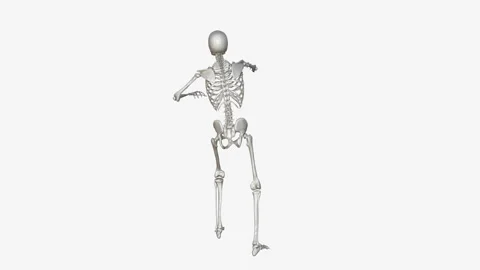 Skeleton goes back view, alpha channel Stock Footage 113792132