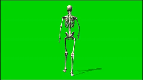 Skeleton goes - isolated green screen footage 1 스톡 동영상 33646588