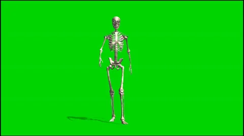 Skeleton goes - isolated green screen footage 스톡 동영상 33646861