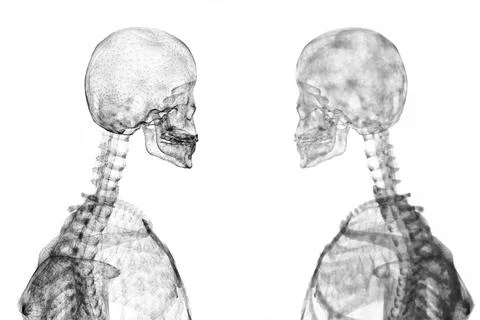Skeleton graphics facing each other Stock Photos