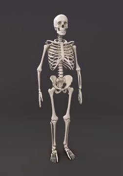 Skeleton of a gray background Stock Illustration