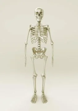Skeleton of a gray background Stock Illustration