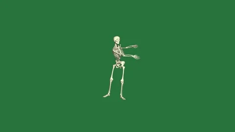 A skeleton on green background and screen standing in front of isolated on 스톡 동영상 336955053