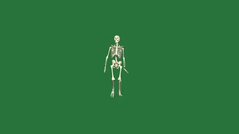 A skeleton on green background and standing in front of isolated on green Видео 336954962