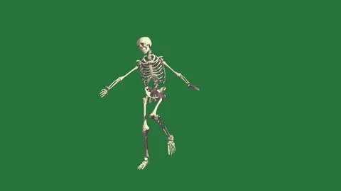 A skeleton on green background and walking screen is running waving isolated Видео 336954949