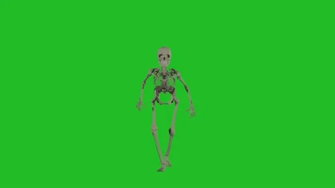 Skeleton green screen Stock-Footage 212496955