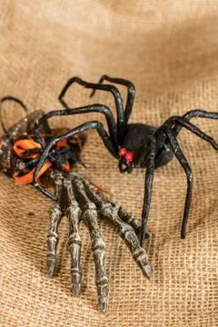 Skeleton Hand and Spider Stock Photos
