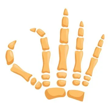 Skeleton hand bones making ok sign on white background Stock Illustration