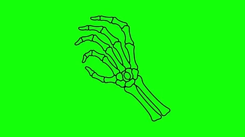 Skeleton Hand Draw Animation Green Screen Chroma Key 4K Stock Footage 339341013