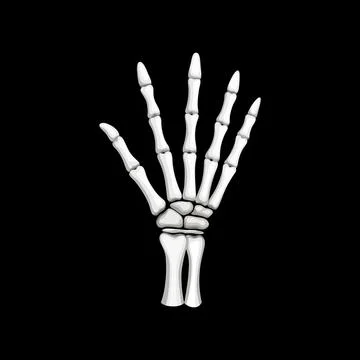 Skeleton hand gesture, isolated vector open palm 스톡 일러스트