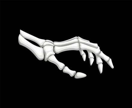 Skeleton hand gesture, isolated vector bony palm 스톡 일러스트