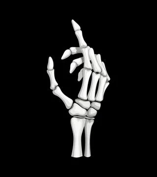Skeleton hand gesture isolated vector skeletal arm 스톡 일러스트