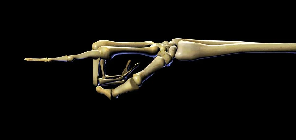 Skeleton Hand Pointing Stock Illustration